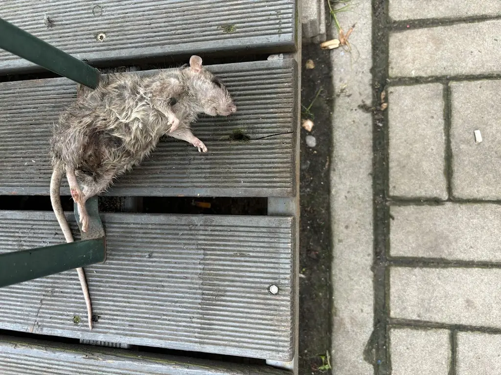 David Filip_Pizzeria da Salvatore_Okres Teplice_review