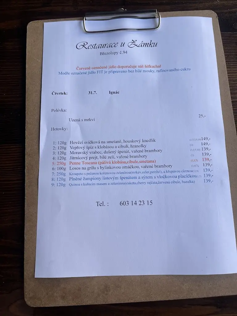 Anton Ego_Restaurace U Zámku_Březolupy_review