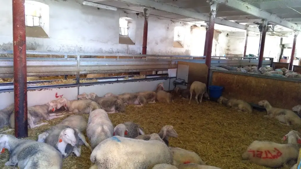 Statek Horní Dvorce - Hospůdka na statku / Stellpltazt / Caravan Parking_Strmilov_slider_image_3