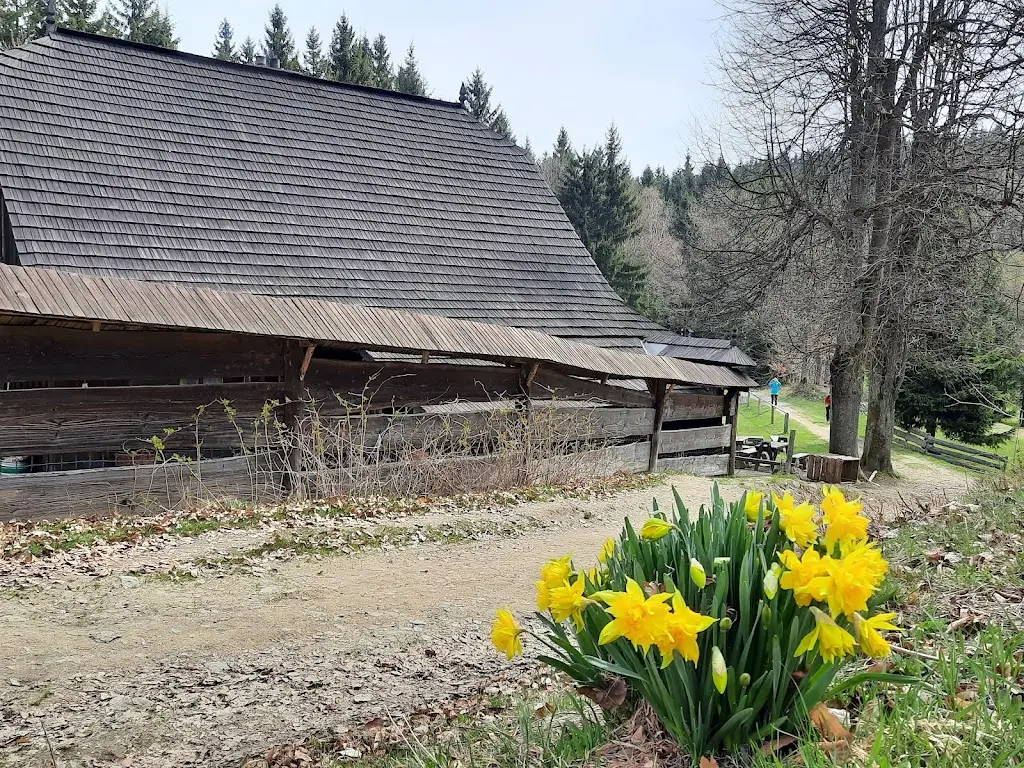 Horský bufet Horní Bečva restaurant in Horní Bečva