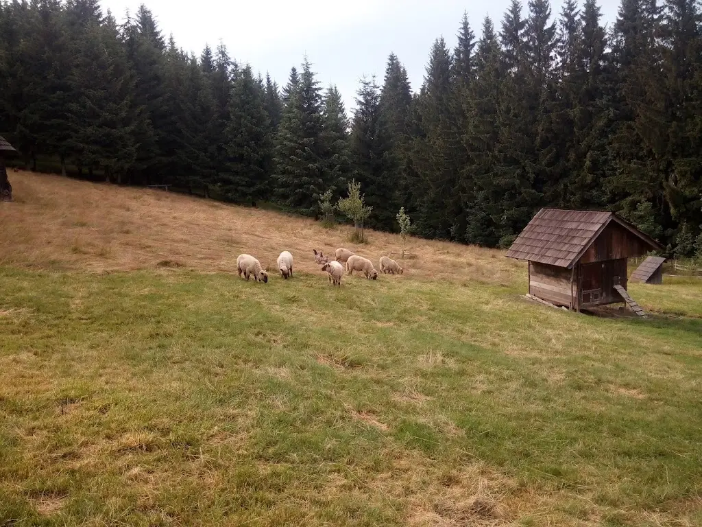 Stanislav Macho_Valašské okénko_Horní Bečva_review