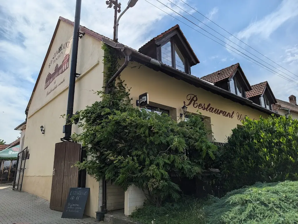 Mirek Macka_Restaurant at the Buchlovice Castle_Buchlovice_recensione