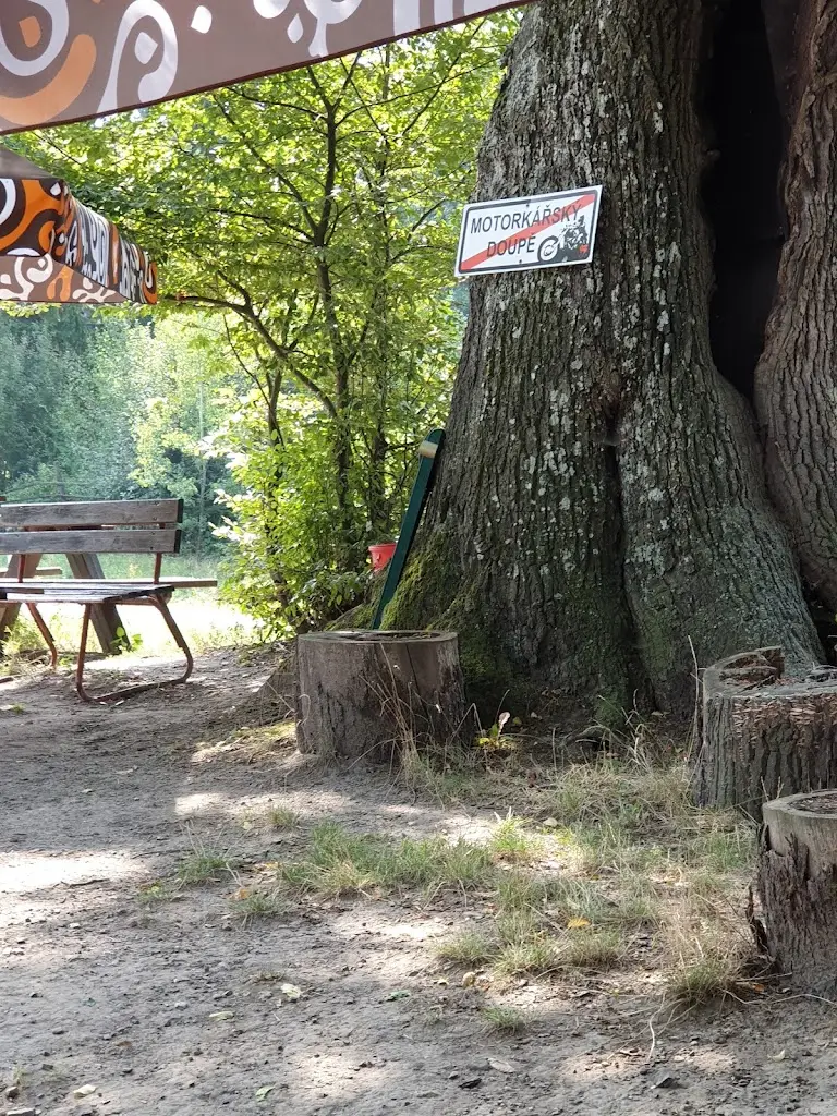 Vojtěch Buchta_Bistro Tramp_Buchlovice_review