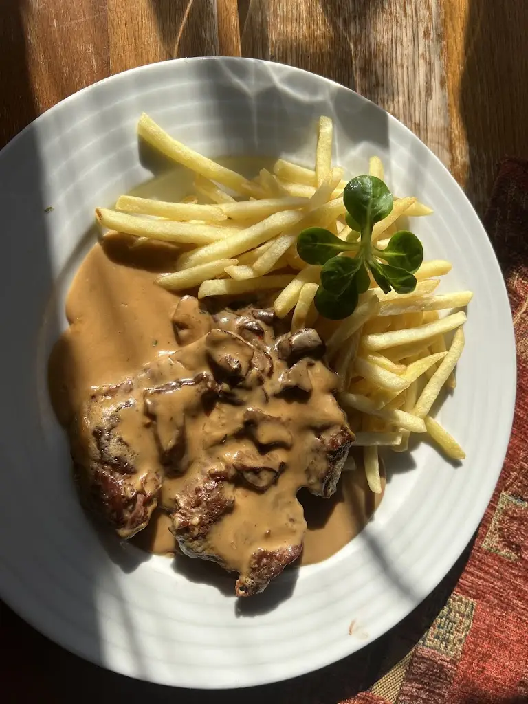 Mojtaba Firouz_Motorest Samota_Buchlovice_review