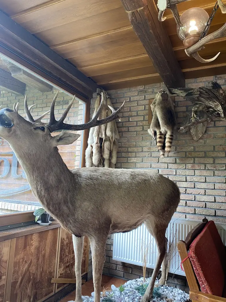 Dmitry Stashevich_Motorest Samota_Buchlovice_review