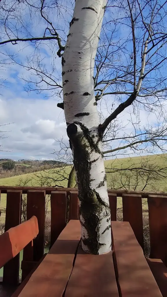 Treehouse Hošťálková_Hošťálková_slider_image_2