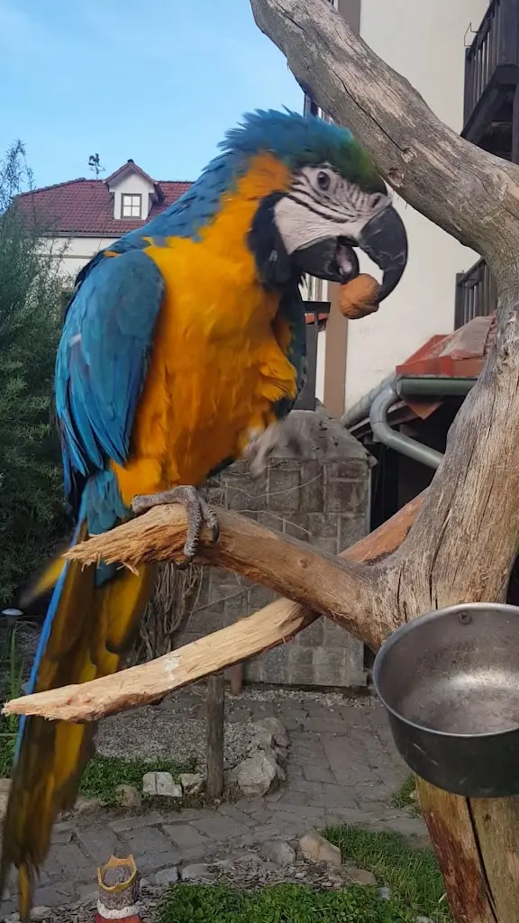 Borovanský mlýn_Borovany_slider_image_2