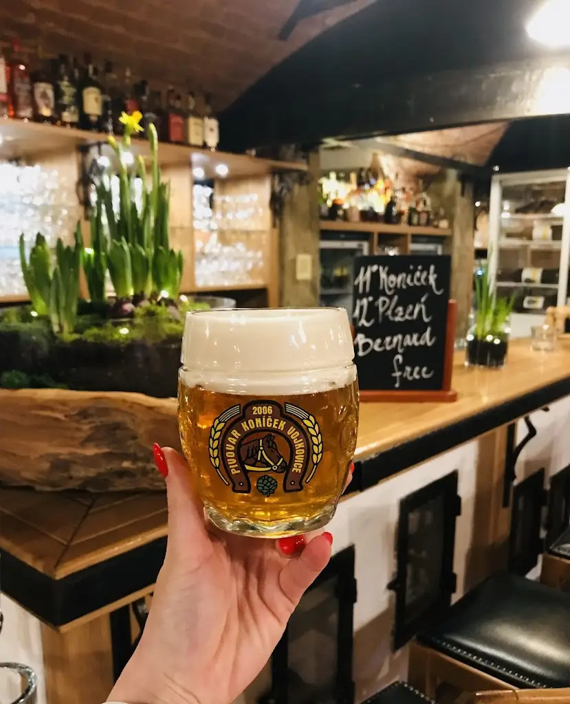 Restaurace Koníček_Okres Uherské Hradiště_slider_image_3