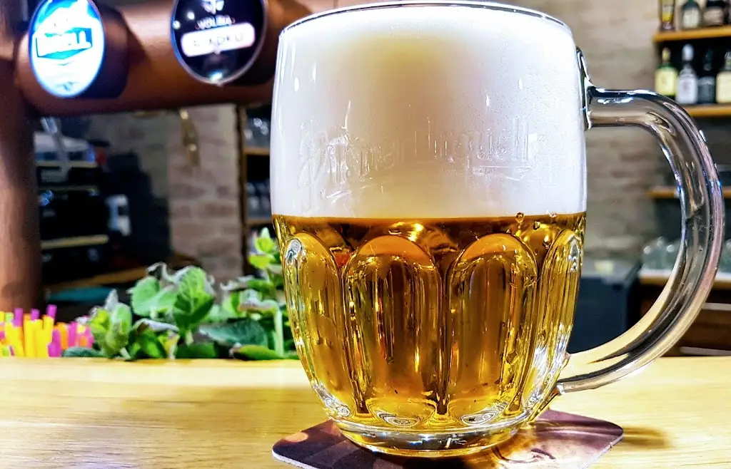 Menu_Restaurace Pod starou knihovnou_Kroměříž_immagine_5