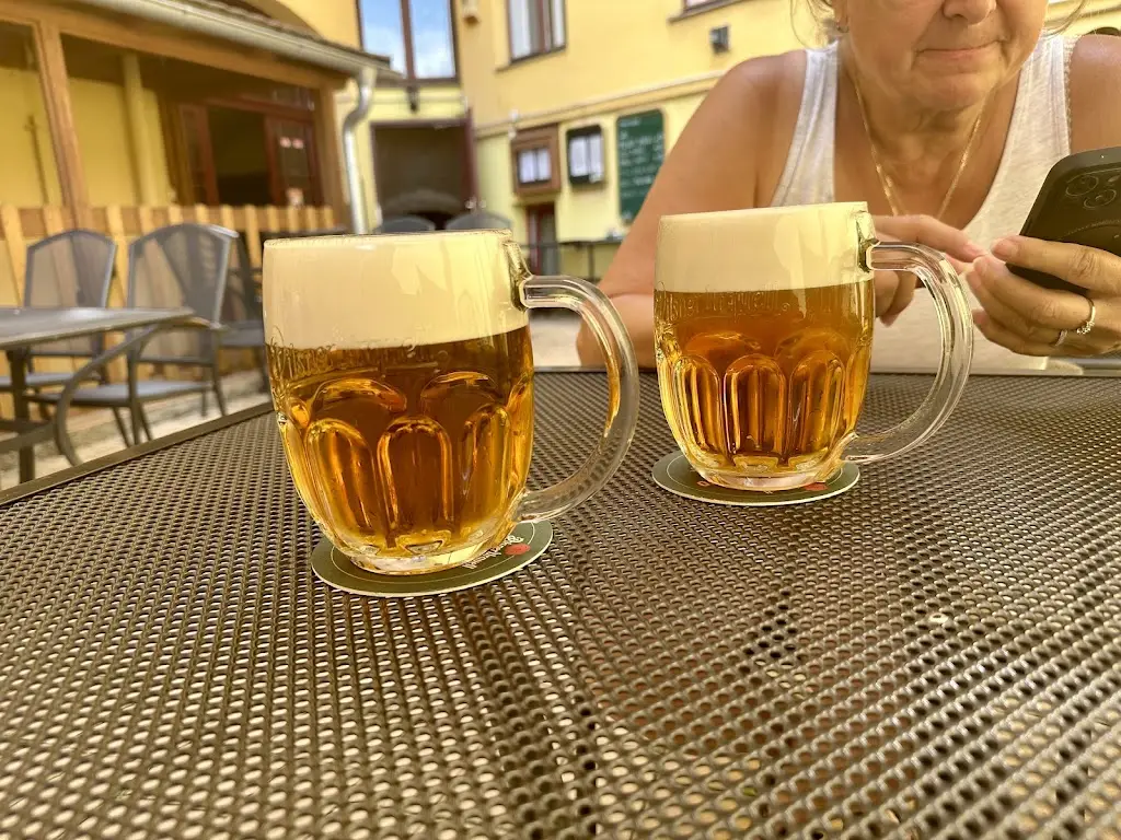 Restaurace Pod starou knihovnou_Kroměříž_slider_image_3