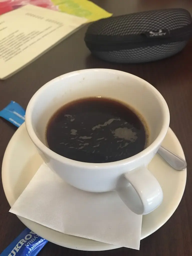 Michel_U Kočky_Luhačovice_review