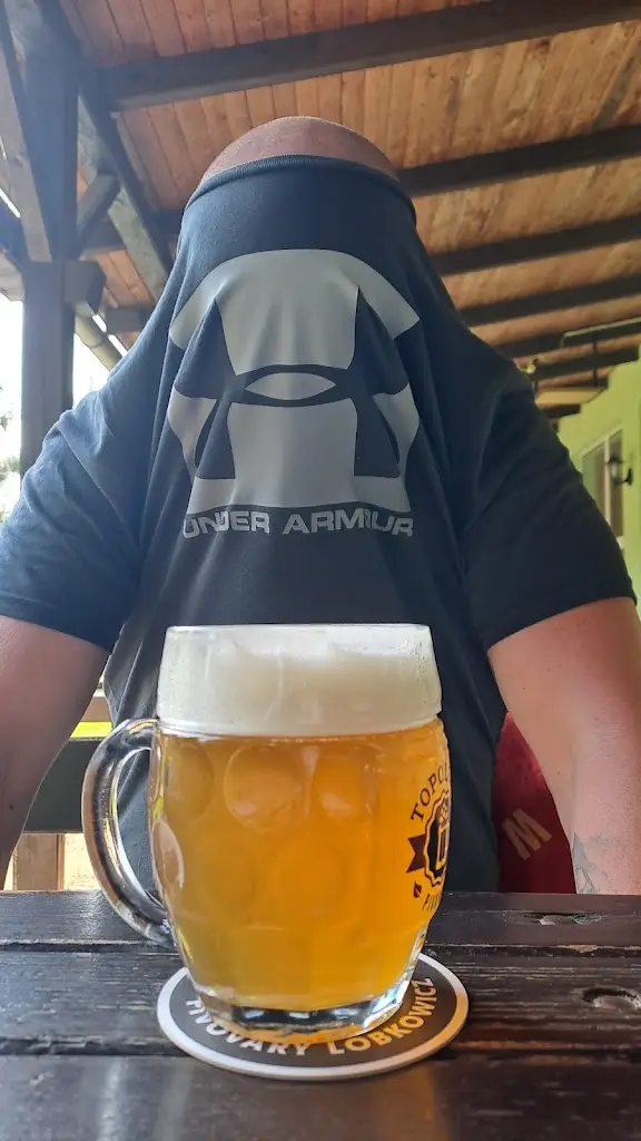 Richard R._Hotel Malina | Ubytování, Restaurace, Rozvoz jídel_Napajedla_review