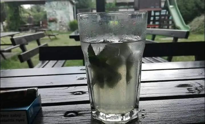 Eva Víšková_Hotel Malina | Ubytování, Restaurace, Rozvoz jídel_Napajedla_review