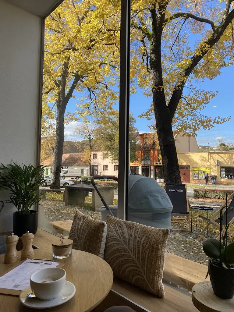 Rostik Bovonenko_Little Coffee_Napajedla_review