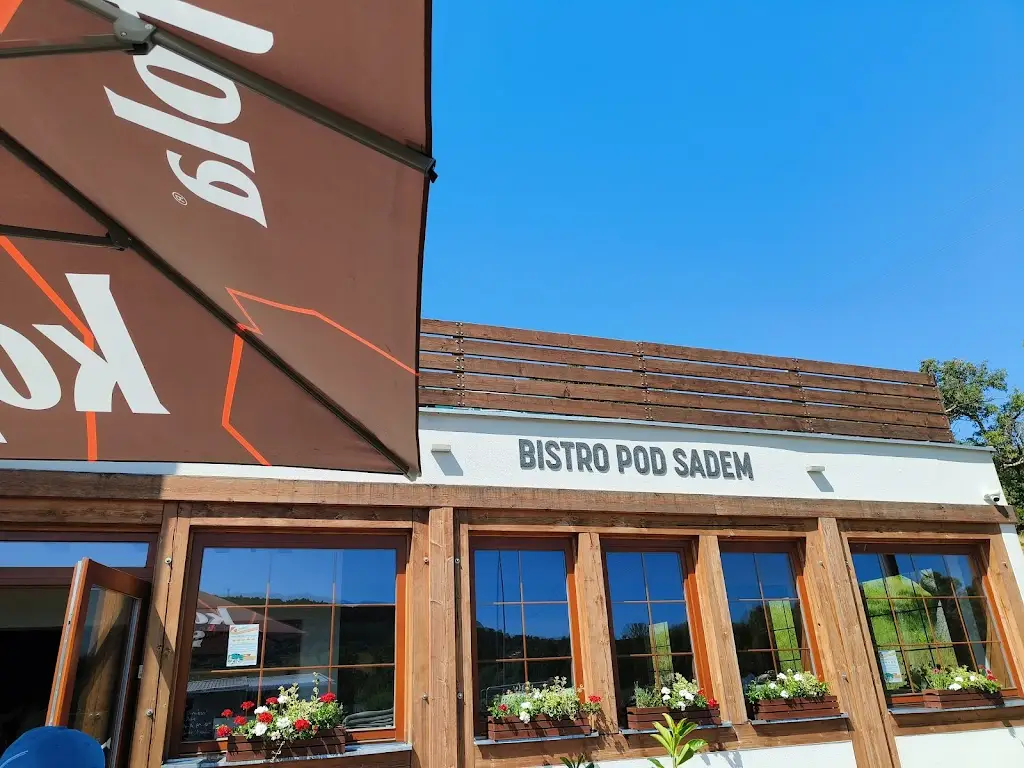 Bistro pod Sadem restaurant in Okres Zlín