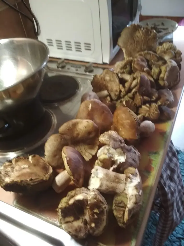 Menu_Hostinec U Machýčků_Valašská Bystřice_image_5