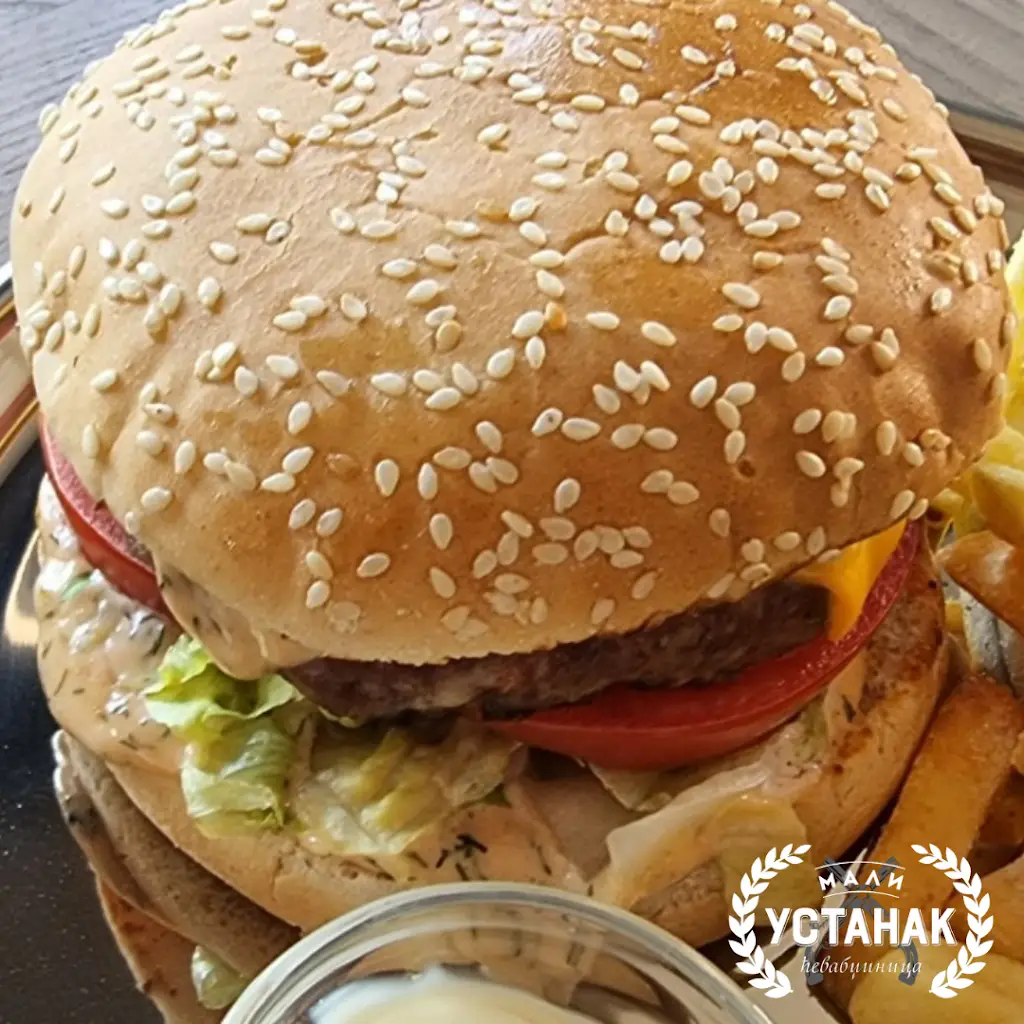 Mali Ustanak Ćevabždinica_Šumice_slider_image_2