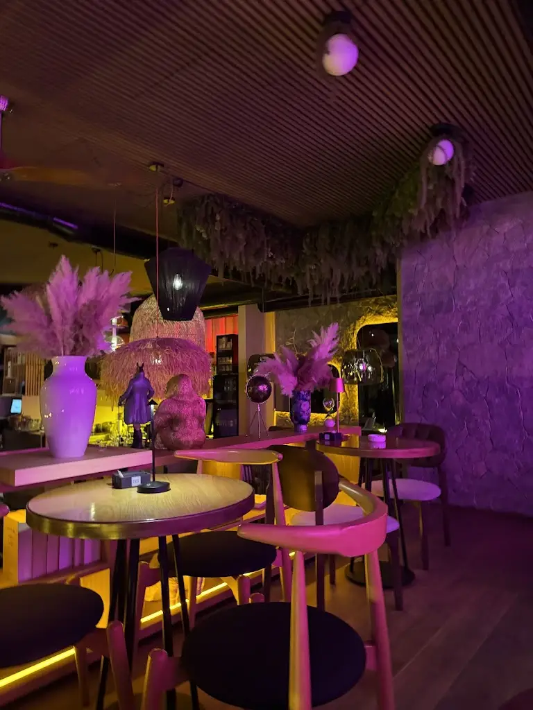 Nenad N._Casa & Casa_Šumice_review