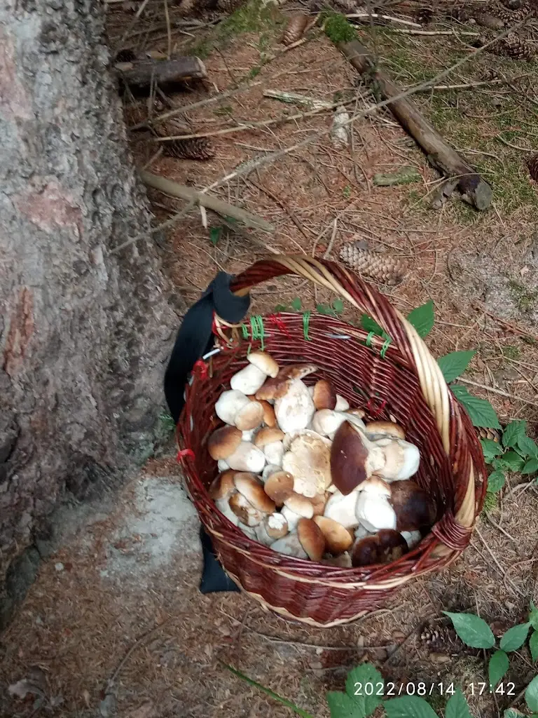 Menu_Restaurace & penzion Rozmarýn_Okres Vsetín_immagine_1