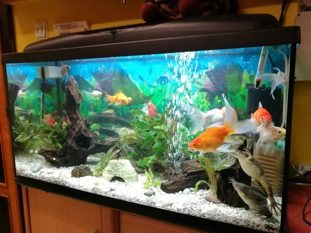 Hospoda Na Moštárně restaurant in Okres Vsetín