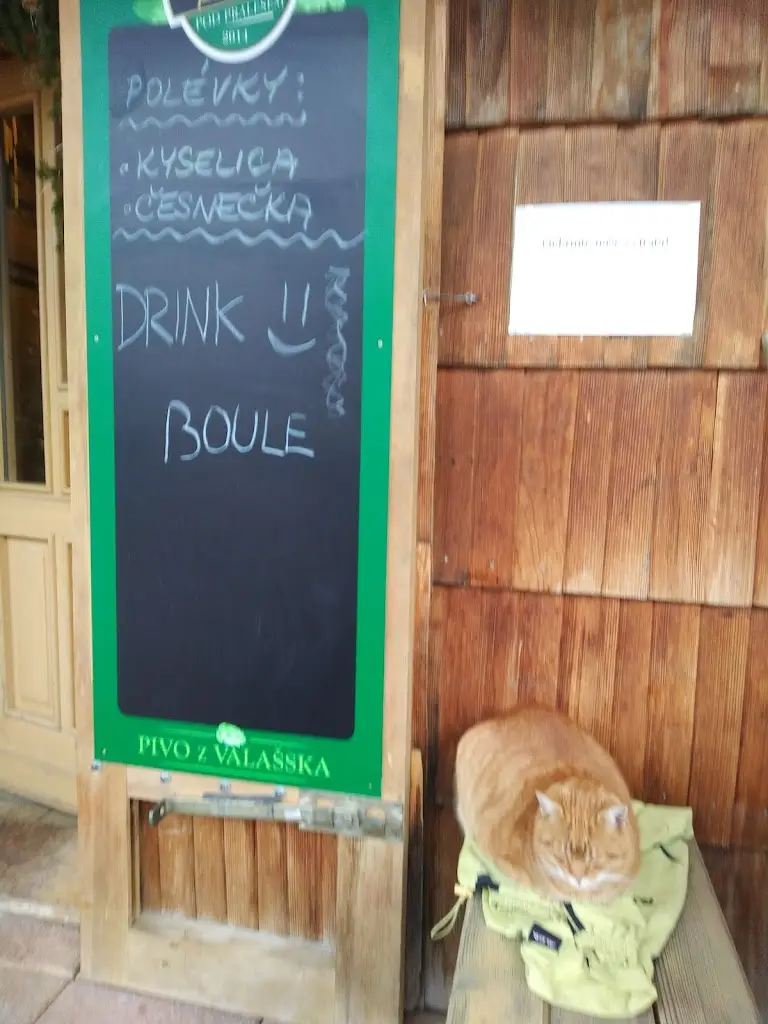 Zlata GERGELOVA_Pub Pod Pralesem (Below Old-Growth Forest)_Velké Karlovice_recensione