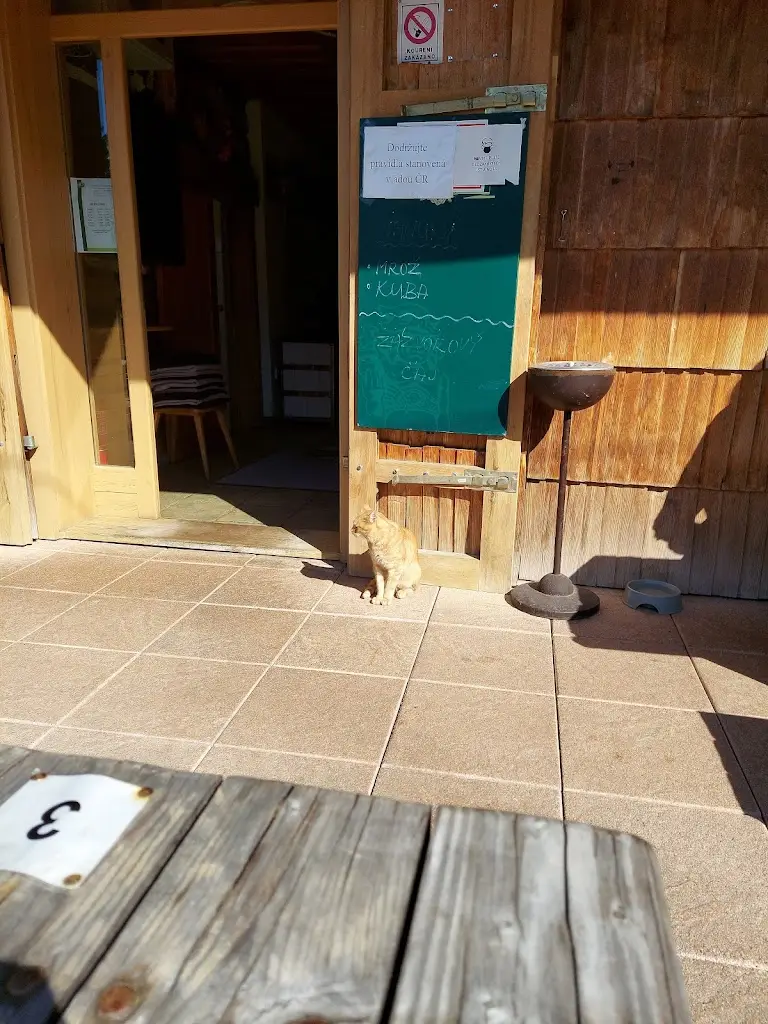 Enrico Palazzo_Pub Pod Pralesem (Below Old-Growth Forest)_Velké Karlovice_recensione