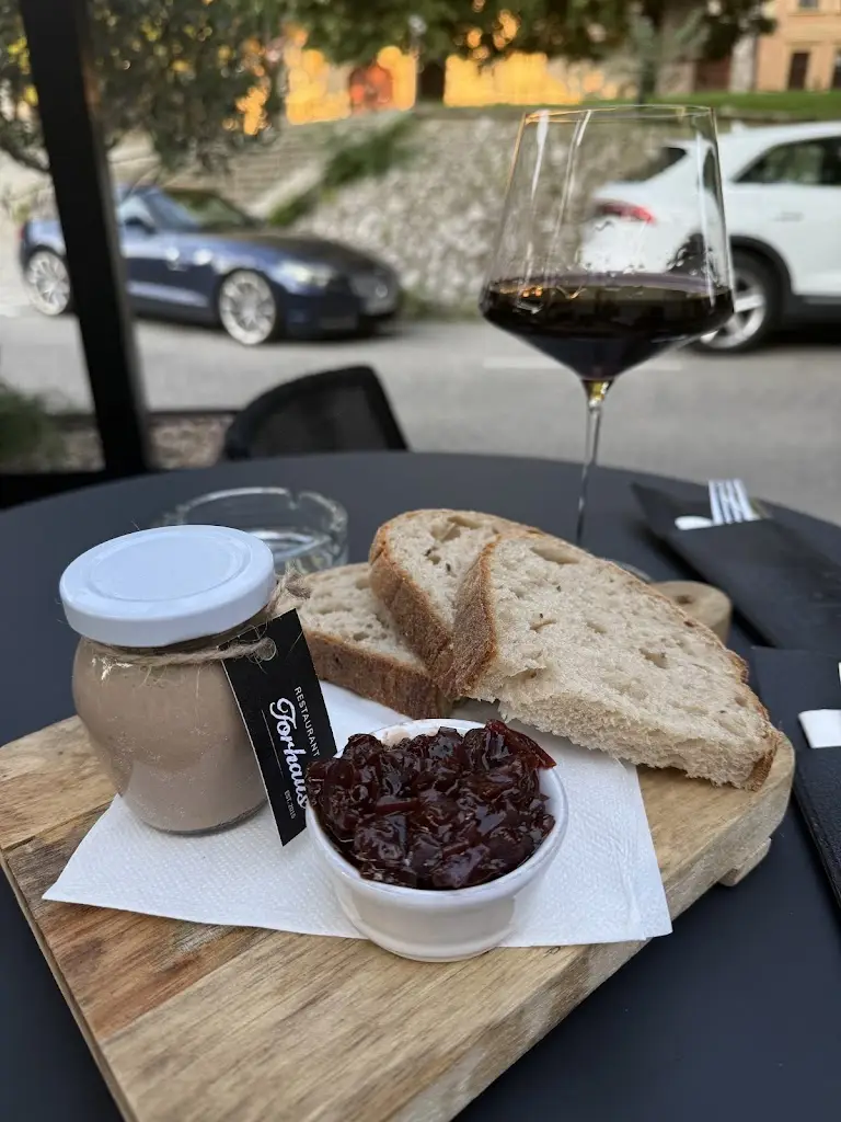 Steven Pannell_Forhaus_Trnava_review