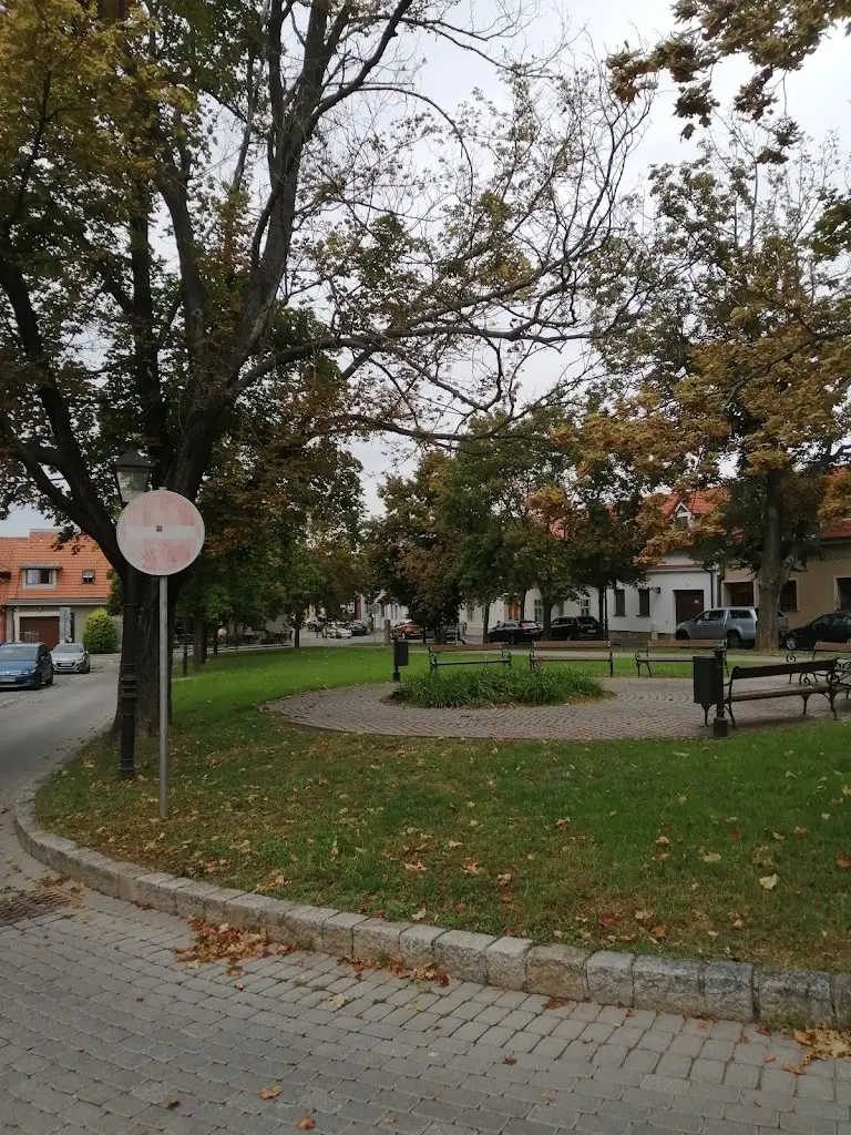 Yvonne De Beer_PATRIOT_Trnava_review