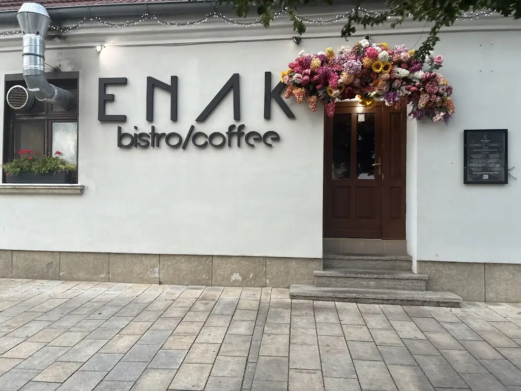 Cyn Music (The Cynmusic)_ENAK bistro & restaurant_Trnava_review