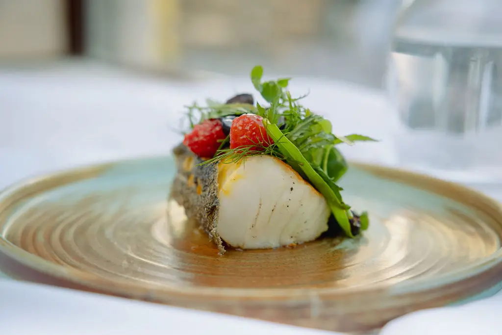 Truffle pig_Trnava_slider_image_3