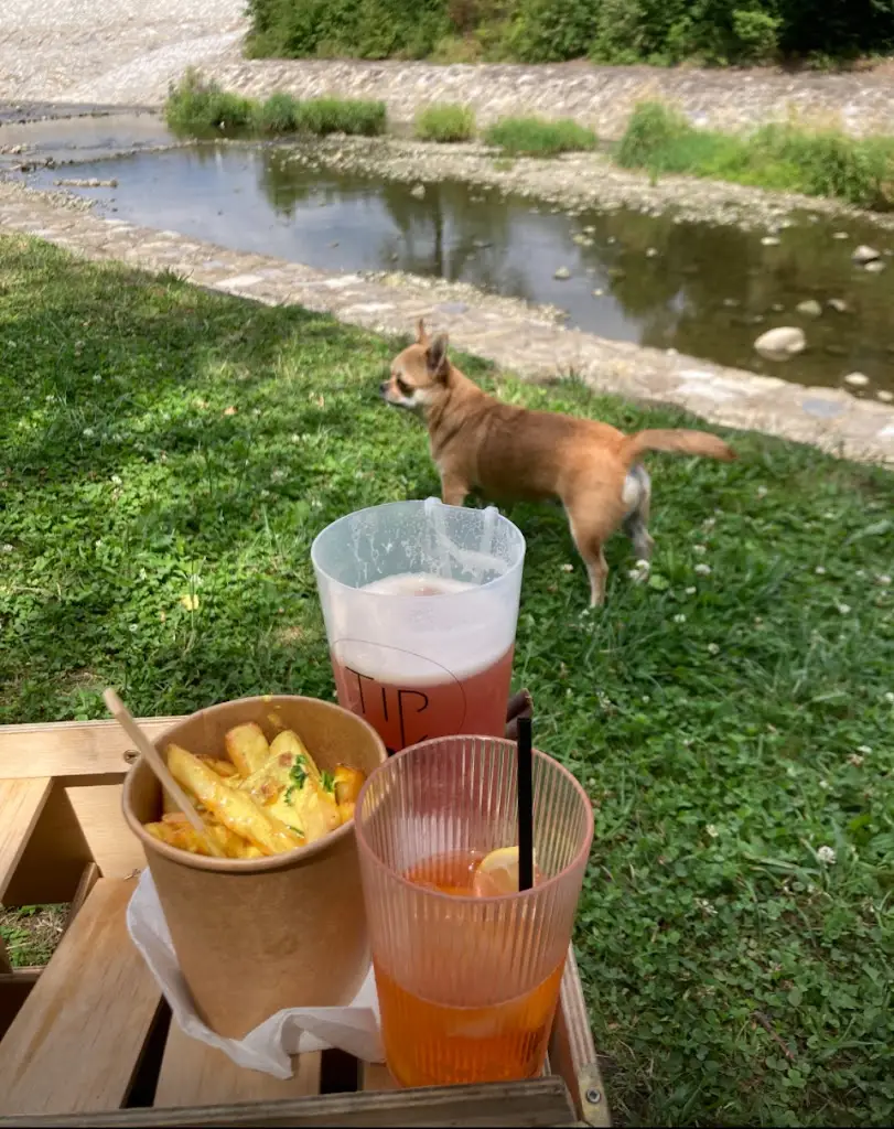 Pavel Kuráň_Tip Dok_Zubří_review