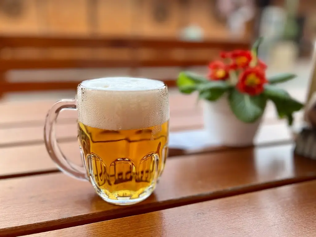 Menu_Ranč Ellux_Vizovice_image_2