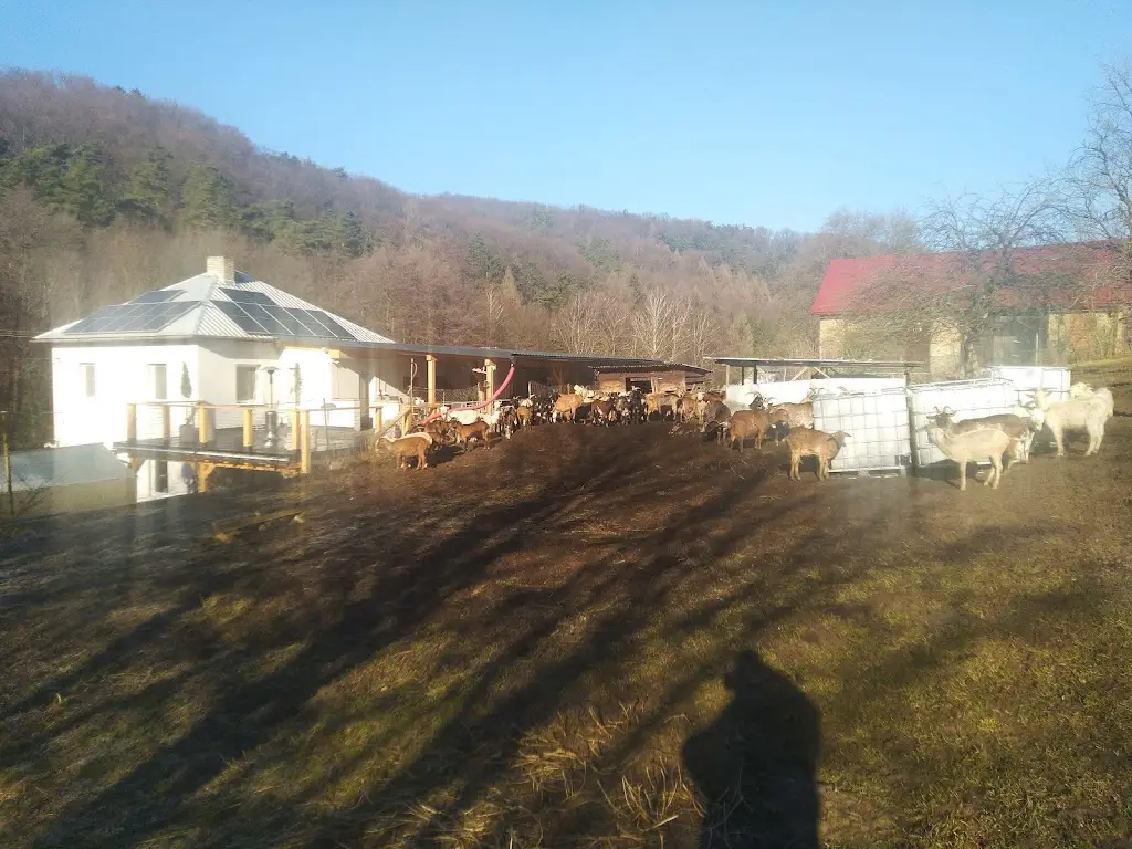 Zlata GERGELOVA_Goat Farm Vizovice_Vizovice_review