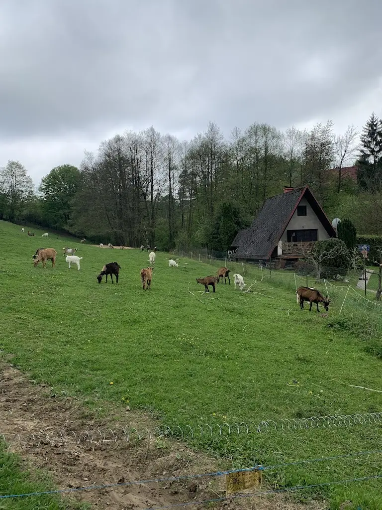 Deded_Goat Farm Vizovice_Vizovice_review