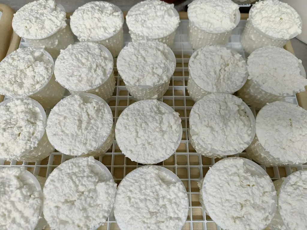 Goat Farm Vizovice_Vizovice_slider_image_3