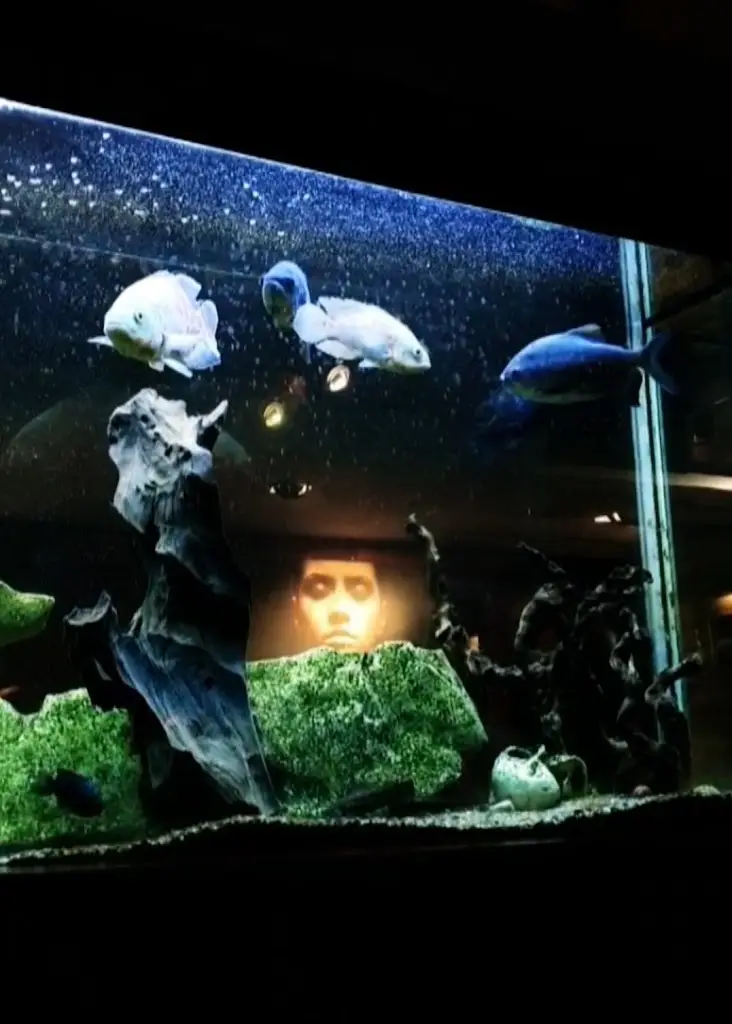 Robin Raw_Restaurace SNOZA_Valašské Meziříčí_review