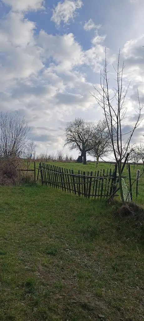 Jurinka_Valašské Meziříčí_slider_image_3