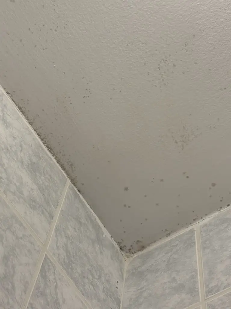 Natálie_Zámecká restaurace a penzion Týn nad Vltavou_Týn nad Vltavou_review