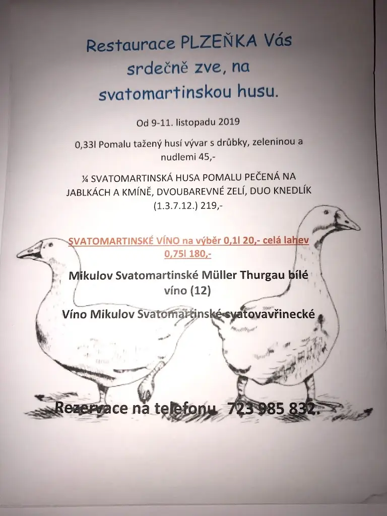 Menu_Restaurace-Pension Plzeňka_Týn nad Vltavou_immagine_2