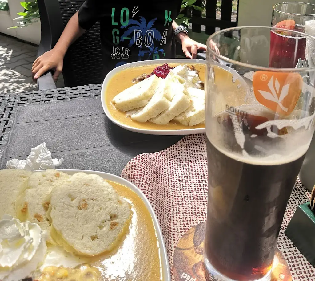 Menu_Restaurace-Pension Plzeňka_Týn nad Vltavou_immagine_4