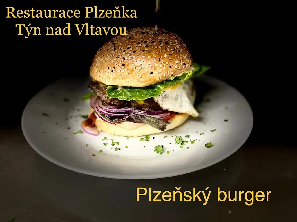 Menu_Restaurace-Pension Plzeňka_Týn nad Vltavou_immagine_5