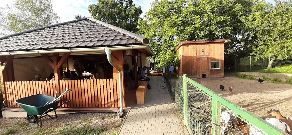 Rastislav Repík_občerstvení U zvířátek_Týn nad Vltavou_review