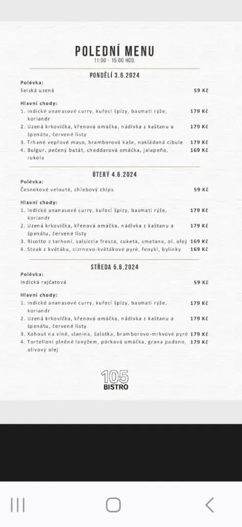 Menu_BISTRO 105_Třeboň_image_2