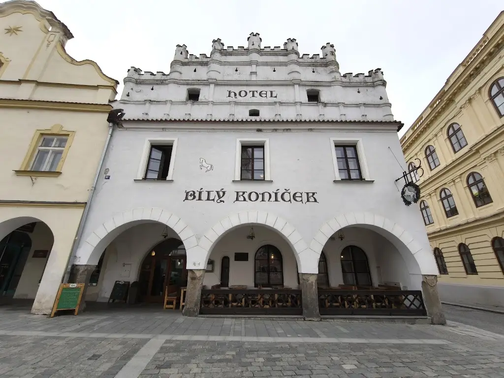 Bily Konicek Restaurant_Třeboň_slider_image_3