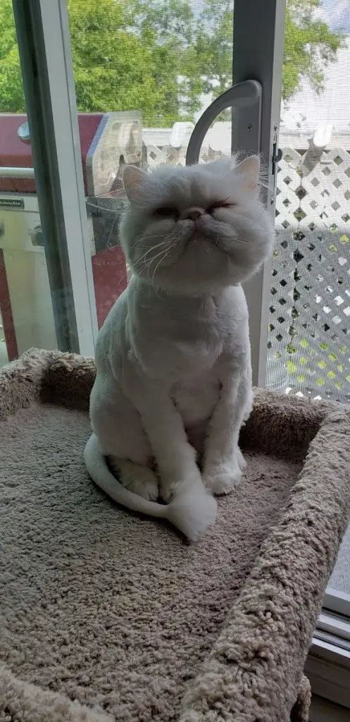 Ota Sieklik_Restaurace Adéla_Třeboň_review