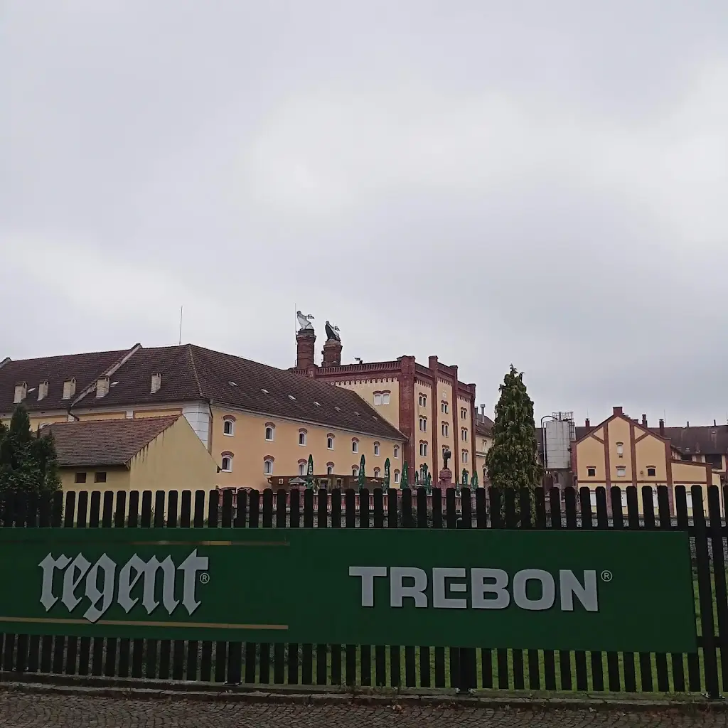 Eva Strnadová _Třeboň_Třeboň_review