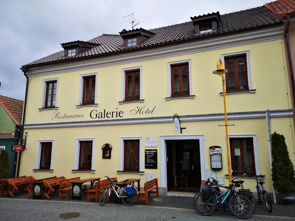 Milan Kotulek_Restaurace Galerie (Hotel Galerie Třeboň)_Třeboň_review