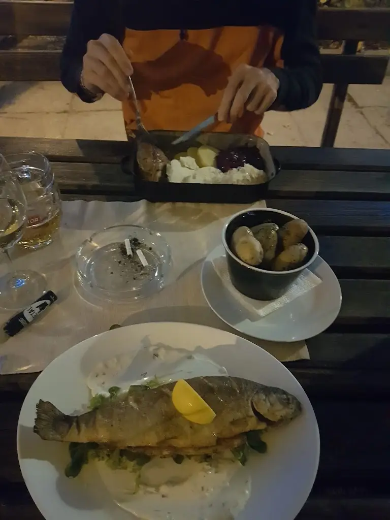 Barbora Koolmees_Kolosvět Třeboň_Třeboň_review