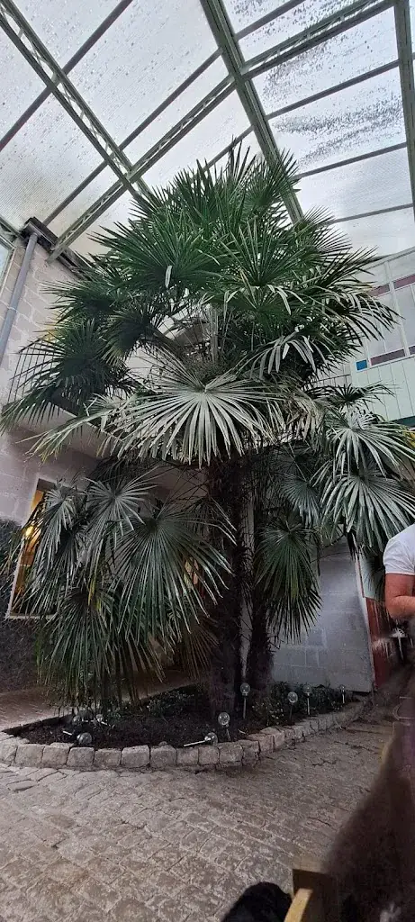 Clément Villain_Association Bilou_Prémery_review