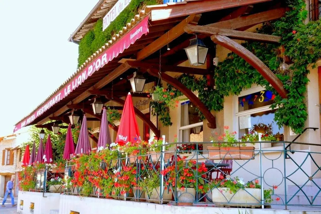 Le Lion d'or_Romenay_slider_image_2